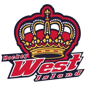 Hockey West Island Custom Hockey Stick