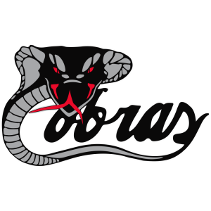 Les Cobras Custom Hockey Stick