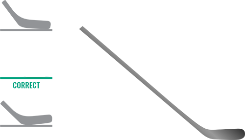 Hockey Stick Lie diagram