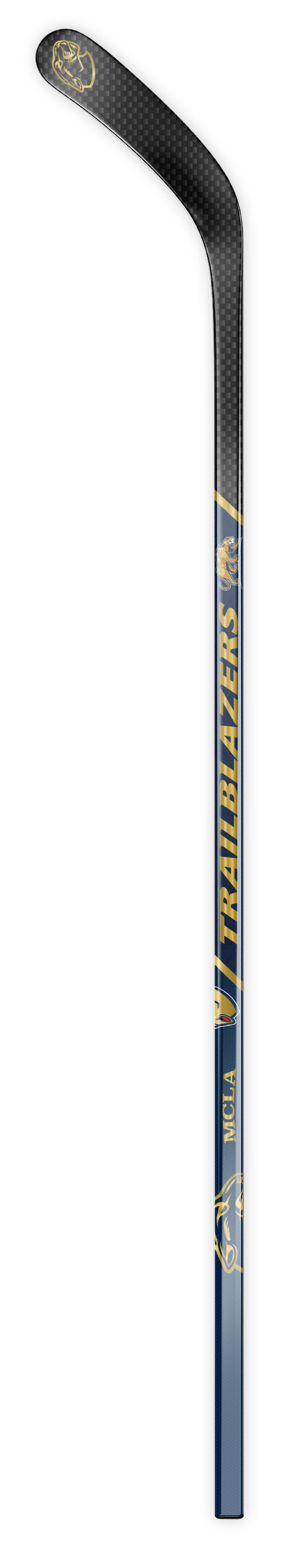 Website-Carousel-Template_Vertical_Mobile_TrailBlazers